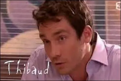 Qui interprète Thibaud Josselin ?