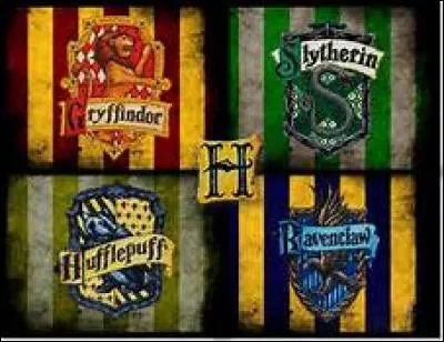 Dans quelle maison pourras-tu être envoyé ?