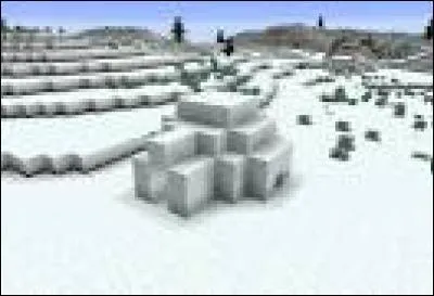 Où peut-on trouver des igloos dans "Minecraft" ?