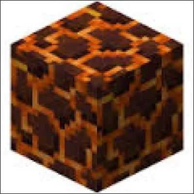 En quelle version apparaissent les magma blocks ?