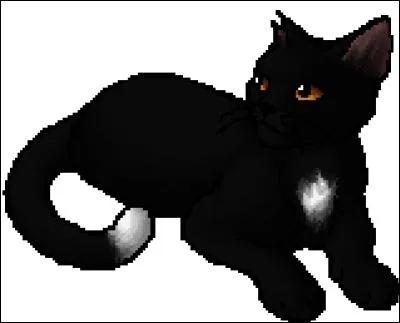 Qui est Nuage de Jais ?