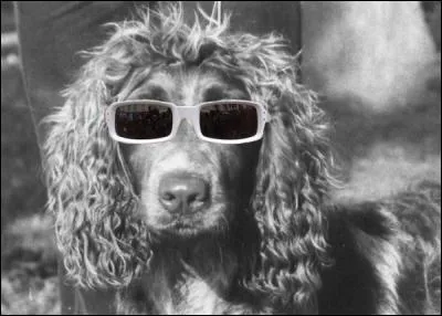 À quel âge a-t-il commencé le piano ?