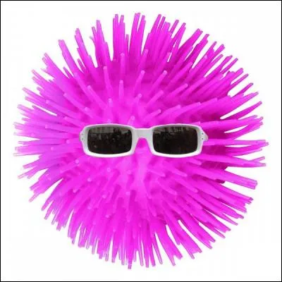 Une balle en plastique ! En 2006, Michel Polnareff sort son premier single depuis 7 ans, quel est son nom ?