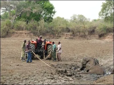 Potion adoucissante, administrée à petites doses par la bouche !