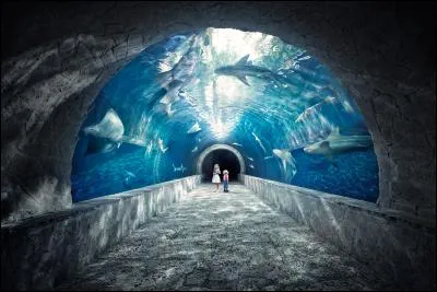 Coutumier, particulier à un lieu !