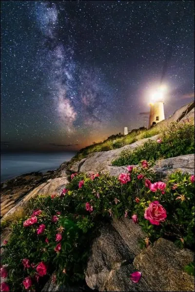 Subdivision d'un lobe !