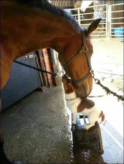 Fermeture de vasistas ou de persiennes !