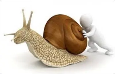 Que signifie l'expression "Avancer comme un escargot" ?