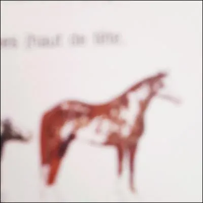 Quelle est la robe de ce cheval ?