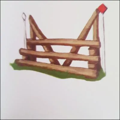 Quel est le nom de cet obstacle ?