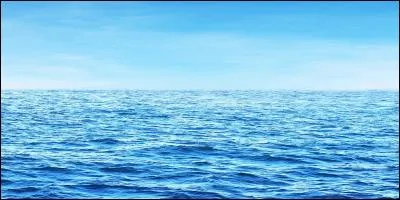 Où le dauphin habite-t-il ?