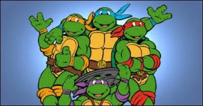 Les célèbres Tortues Ninja se prénomment Leonardo, Raphael, Michelangelo et :