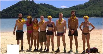 Quelle est cette télé-réalité ?