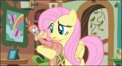 Qui est cet animal dans les bras de Fluttershy ?
A qui appartient-il ?