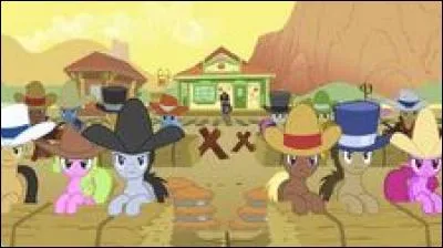 Qui sont les Appleloosans ?