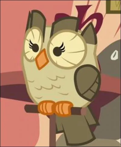 Qui est cette chouette ?