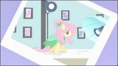 Que se passe-t-il quand Rarity recrute Fluttershy comme mannequin pour porter sa robe ?