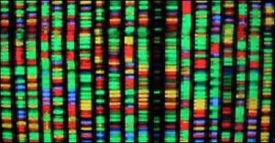 Datez le décryptage du génome humain.