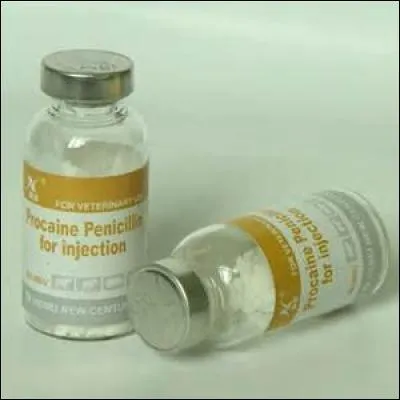 Qui découvre la pénicilline ?