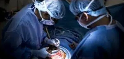 Quand a eu lieu la première greffe de rein ?