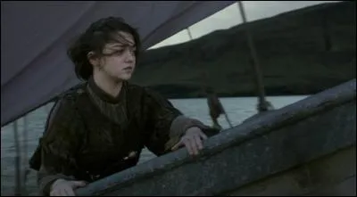 Que donne Arya au capitaine du bateau Braavien ?