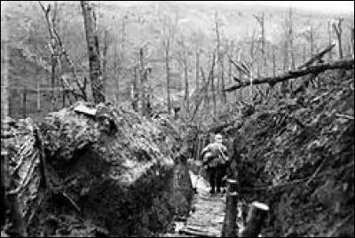 Quel nom porte la deuxième phase de la guerre se déroulant de 1915 à 1917 ?