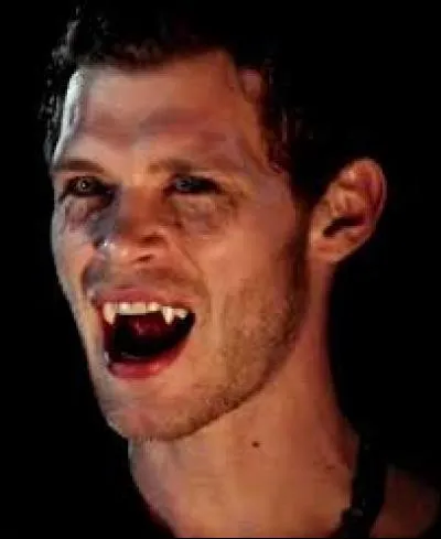 Klaus est devenu vampire grâce au sang de :