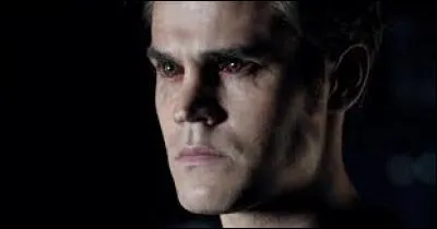 Stefan est devenu vampire grâce au sang de :