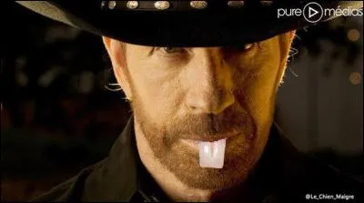 La série "Walker Texas Ranger" a été diffusée sur TF1 pendant 17 ans :