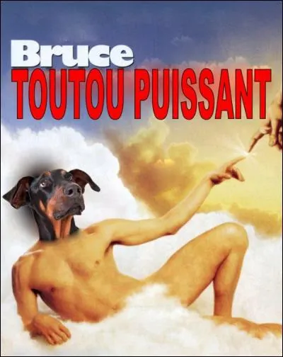 Quel acteur incarne Bruce dans "Bruce tout puissant" ?