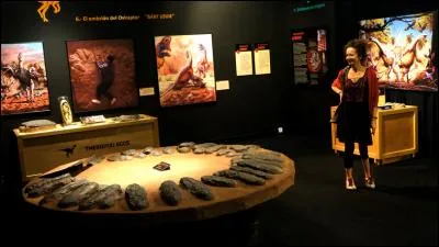 Combien les plus grands ufs de dinosaures, jamais découverts, mesuraient-ils ?