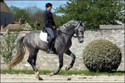 Quel est le mécanisme du galop à droite ?