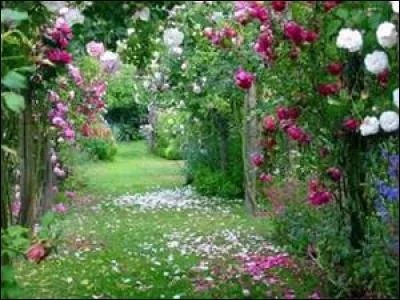 Quelles sont les principales plantes toxiques pour le cheval ?