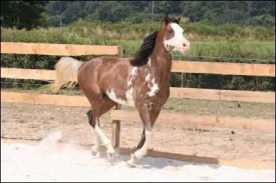 Les principales normes physiologiques sont :