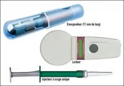 Où se trouve généralement le transpondeur électronique aussi appelé puce ?