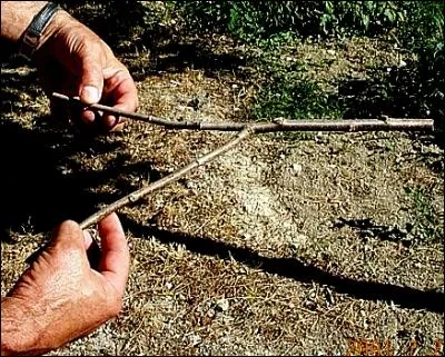 Faites de m&ecirc;me pour cette r&eacute;ponse !