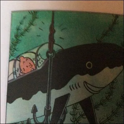 Cette photo appartient auquel de ces albums ?