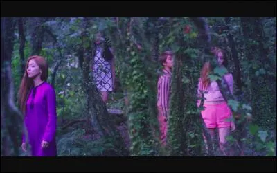 Quel est ce clip des F(x) ?