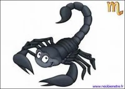 Au niveau médical, où le Scorpion a-t-il un souci ?