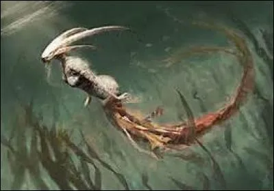 Quelle planète aide le Capricorne ?