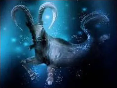 Quel est l'élément du Capricorne ?