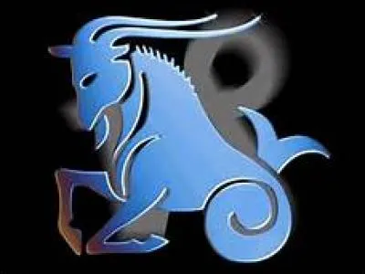 Comment le Capricorne est-il ?