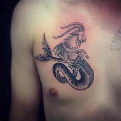 Quel sentiment le Capricorne déteste-t-il au plus haut point ?