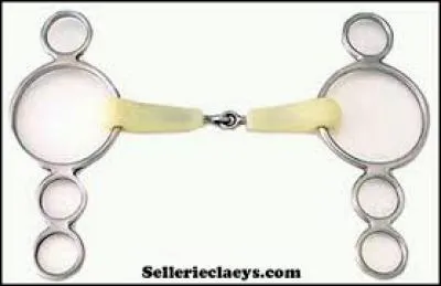 Comment s'appelle ce mors ?