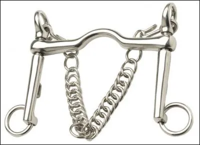 Comment s'appelle cette embouchure ?