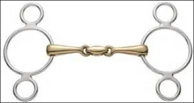 Comment s'appelle cette embouchure ?