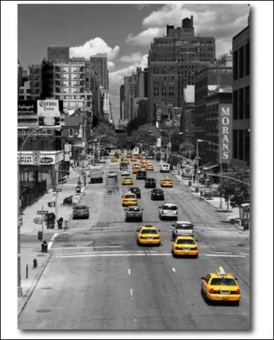 Qui chantait "Et je me saoûle avec le bruit.....des mots que j'envoie, difficile d'appeler au secours quand tant de drames nous oppressent, des larmes nouées de stress étouffent un peu les cris d'amour..." ?