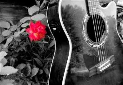 De qui sont les paroles "Je te donne mes notes, je te donne mes mots" ?