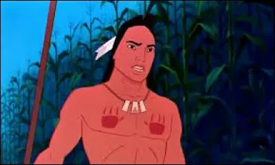 Pocahontas est la fille du chef Powhatan. Elle apprend que son père veut qu'elle se marie avec un membre de leur tribu qui s'appelle...
