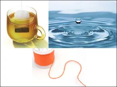 Mon tout est un prénom.